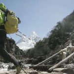 Bilim insanları Himalayalarda şifa arıyor