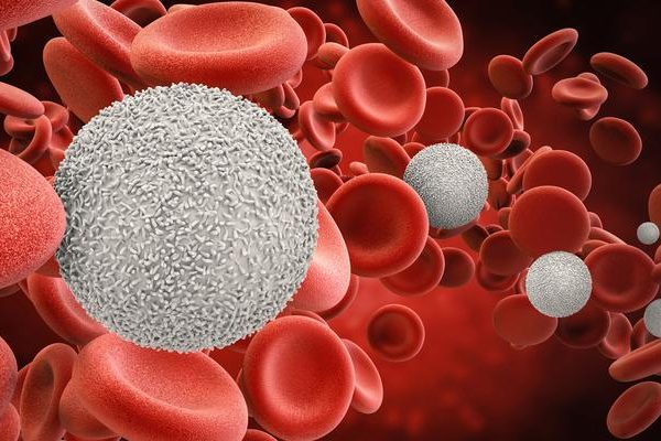 Lökositler nelerdir?  Yüksek ve düşük beyaz kan hücresi sayımı ne anlama geliyor?
