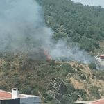 En son haberler |  İzmir'de orman yangını!  Bölgeye çok sayıda ekip sevk edilirken, bölge bir buçuk saat sonra kontrol altına alındı.