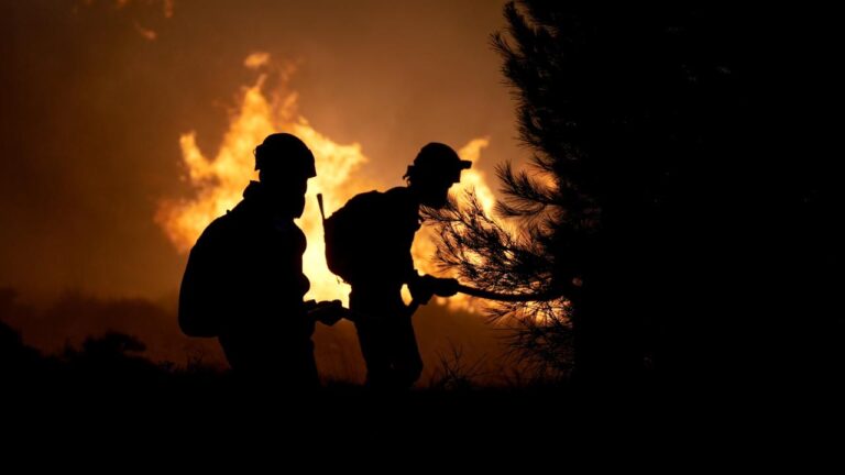 Yangınlarla mücadele için “Risk Yönetim Ekibi” oluşturuldu