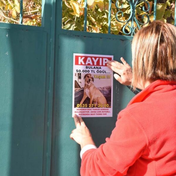 Kayıp köpeğini bulan kişiye 50 bin lira ödül!